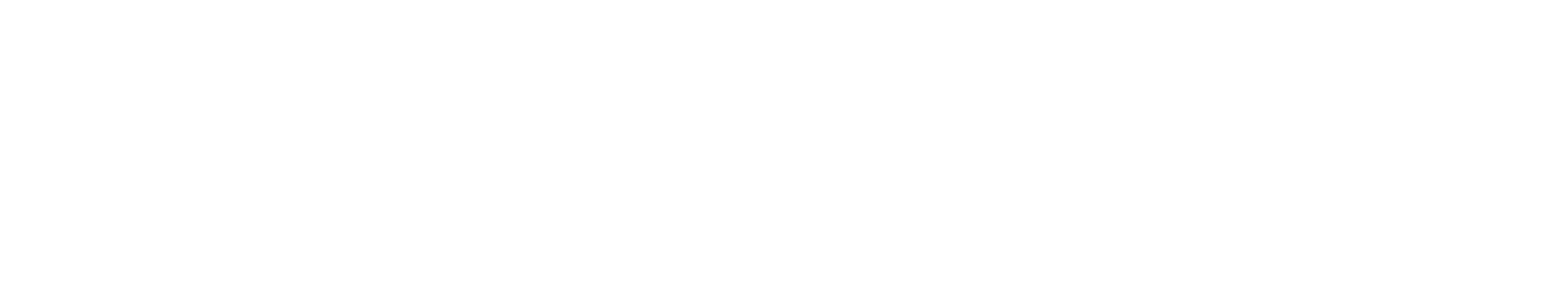 Logo PLUS